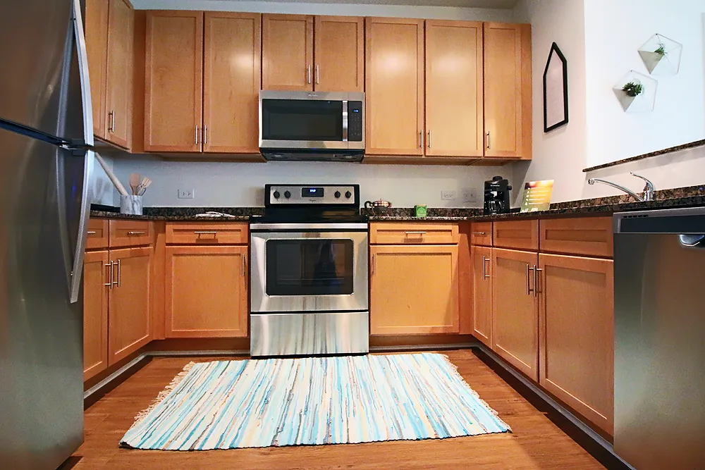 900 S Clark St, ,  60605, USA 60605-unit#2/1-Chicago-IL