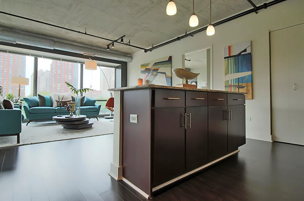 900 S Clark St, ,  60605, USA 60605-unit#2/2-Chicago-IL