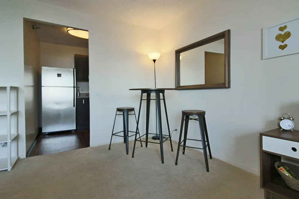 Presidential Towers, 555 W Madison St, , 60661, USA 60661-unit#STUDIO 09-Chicago-IL