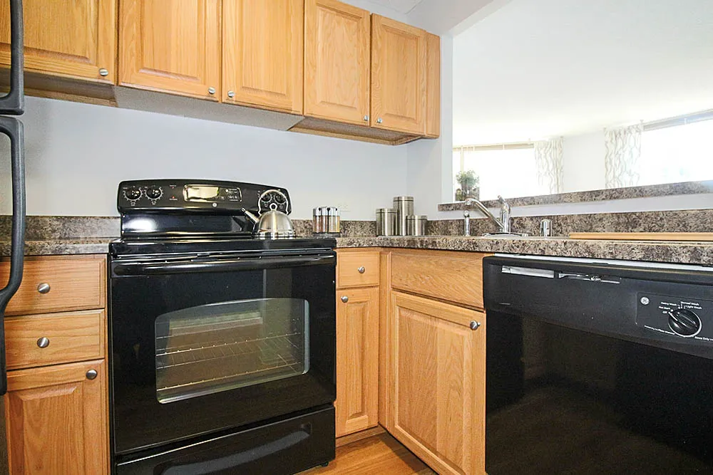 Presidential Towers, 555 W Madison St, ,  60661, USA 60661-unit#STUDIO 11/13-Chicago-IL