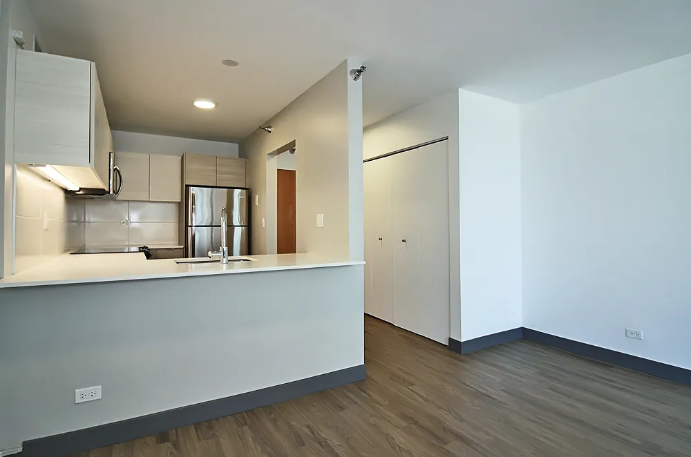 420 E Ohio St, ,  60611, USA 60611-unit#CONVERTIBLE-Chicago-IL