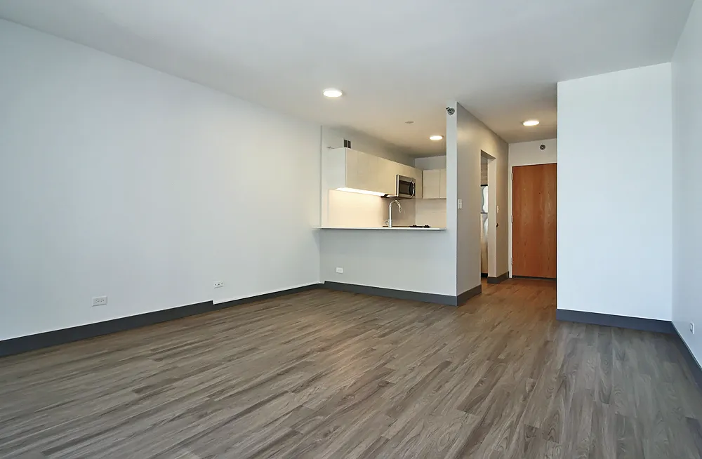 420 E Ohio St, ,  60611, USA 60611-unit#STUDIO-Chicago-IL