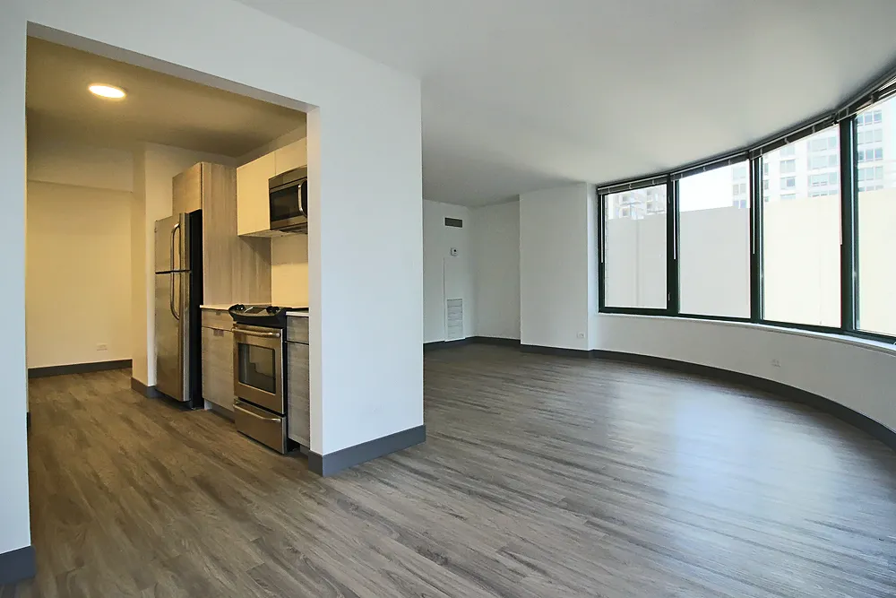 420 E Ohio St, , 60611, USA 60611-unit#1/1-Chicago-IL