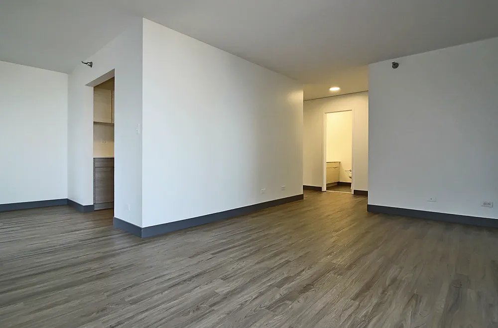 420 E Ohio St, ,  60611, USA 60611-unit#2/2-Chicago-IL