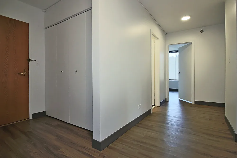 420 E Ohio St, ,  60611, USA 60611-unit#3/3-Chicago-IL