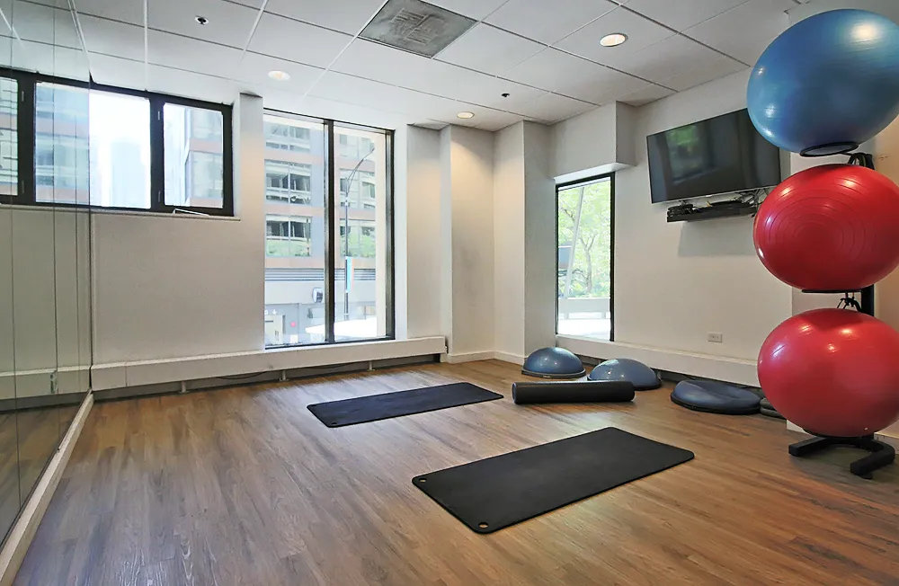 420 E Ohio St, ,  60611, USA 60611-unit#1/1-Chicago-IL