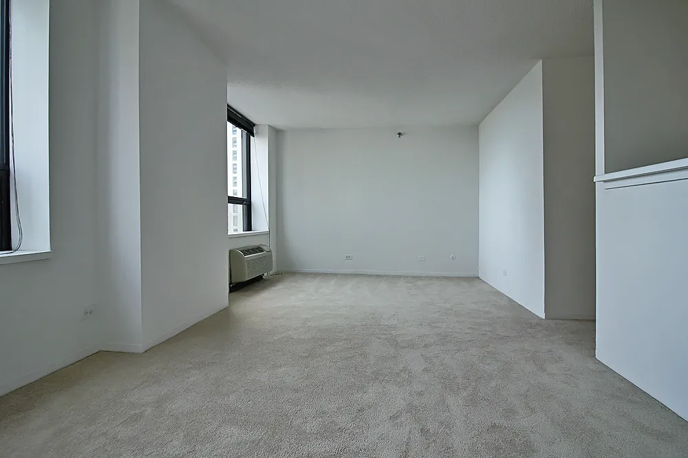 445 E Ohio St, ,  60611, USA 60611-unit#STUDIO-Chicago-IL