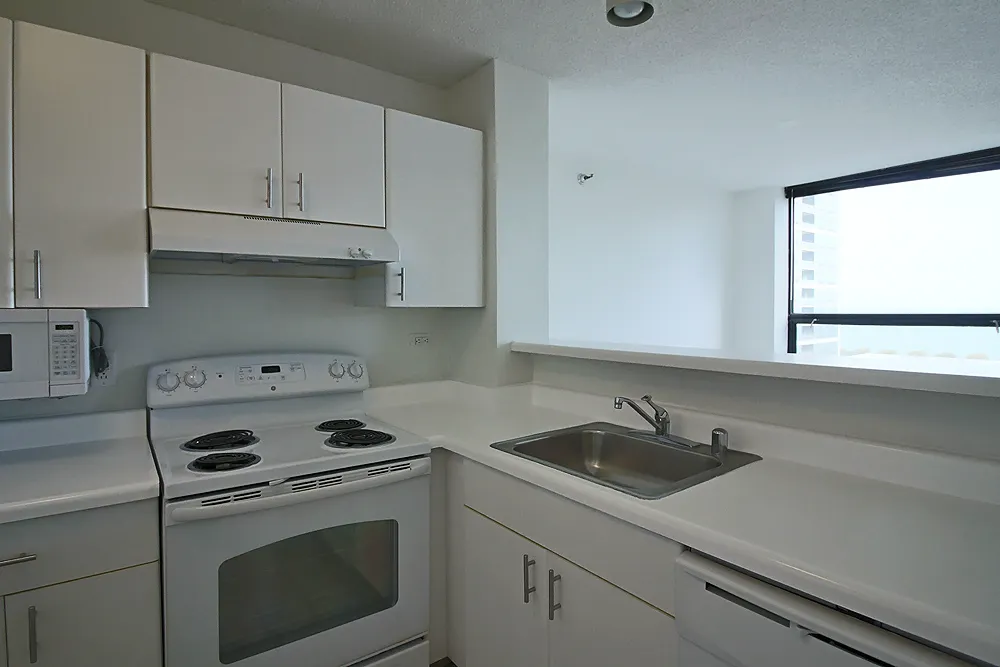445 E Ohio St, ,  60611, USA 60611-unit#STUDIO-Chicago-IL