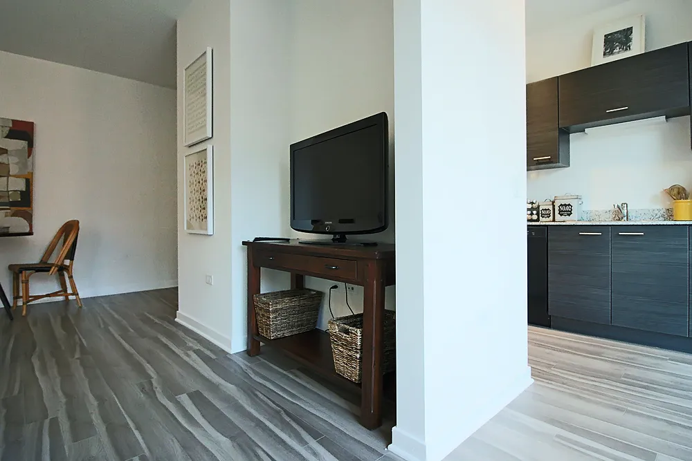 805 N La Salle Dr, ,  60610, USA 60654-unit#CONVERTIBLE PENTHOUSE-Chicago-IL