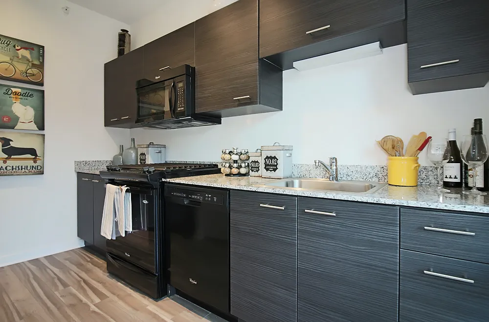 805 N La Salle Dr, ,  60610, USA 60654-unit#CONVERTIBLE PENTHOUSE-Chicago-IL