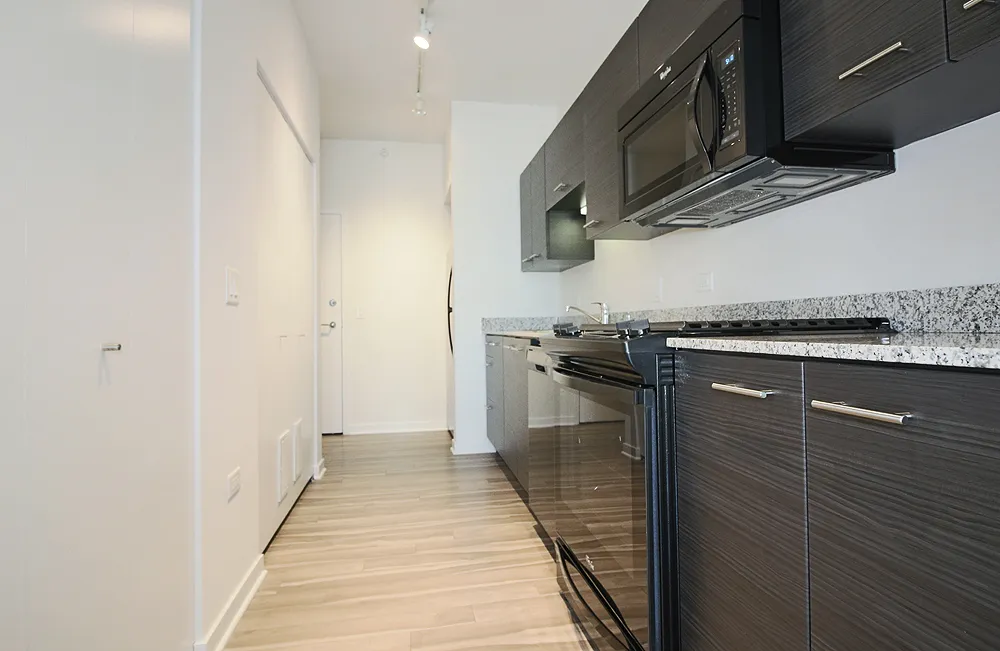 805 N La Salle Dr, ,  60610, USA 60654-unit#STUDIO PENTHOUSE-Chicago-IL