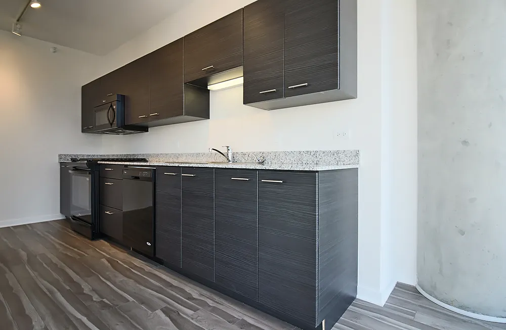 805 N La Salle Dr, ,  60610, USA 60654-unit#1/2-Chicago-IL