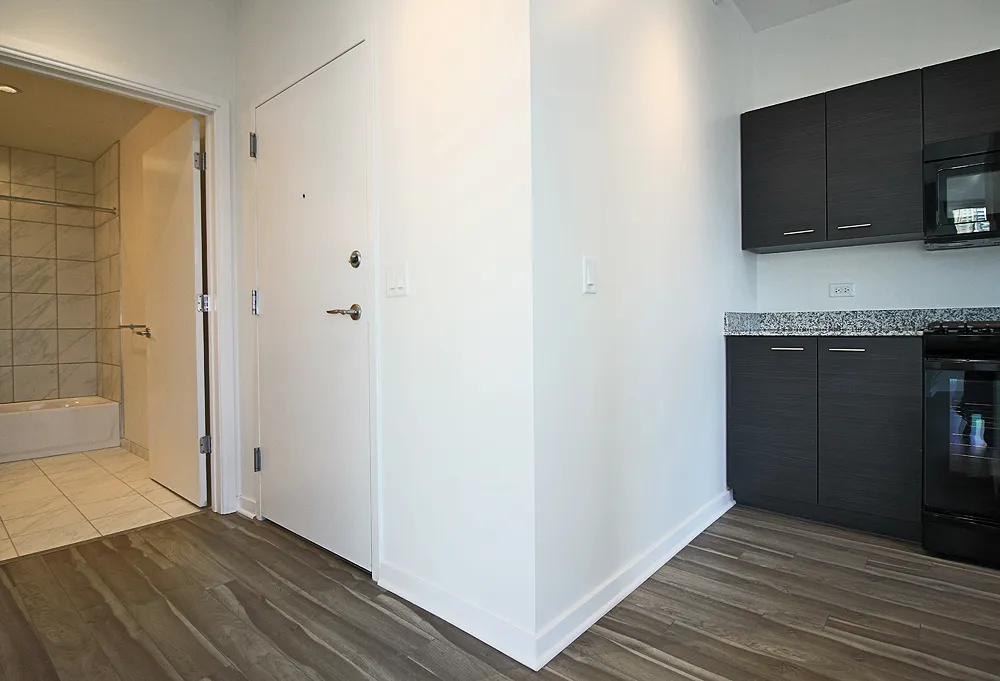 805 N La Salle Dr, ,  60610, USA 60654-unit#1/2 PENTHOUSE-Chicago-IL