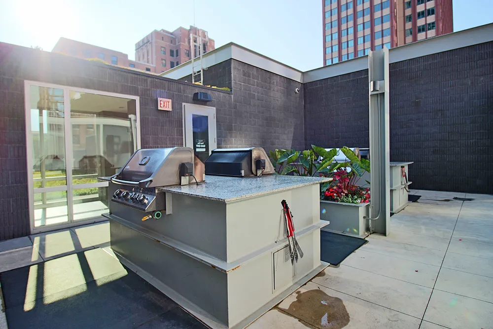 805 N La Salle Dr, ,  60610, USA 60654-unit#STUDIO PENTHOUSE-Chicago-IL