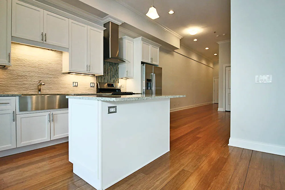 22 N Aberdeen St, , 60607, USA 60607-unit#1/1-Chicago-IL