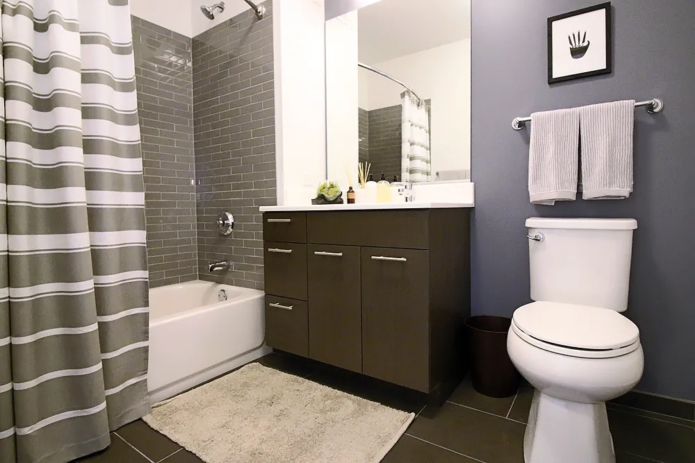 637 N Wells St, ,  60654, USA 60654-unit#STUDIO-Chicago-IL