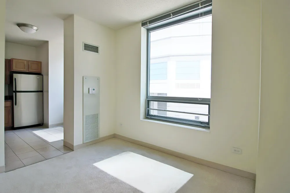 Left Bank, 300 N Canal St, , 60606, USA 60606-unit#STUDIO-Chicago-IL