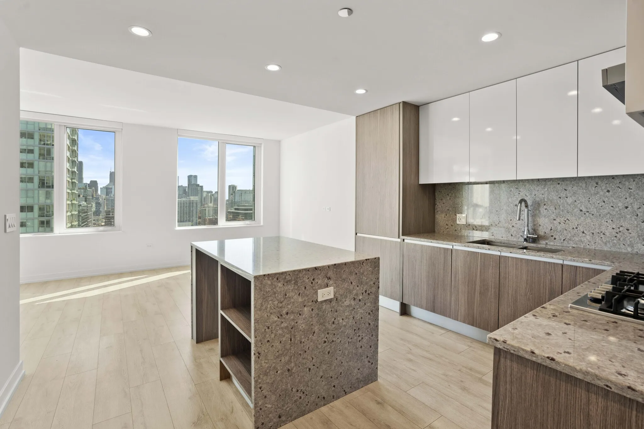 1140 N Wells St, , 60610, USA 60610-unit#1/1 + DEN-Chicago-IL