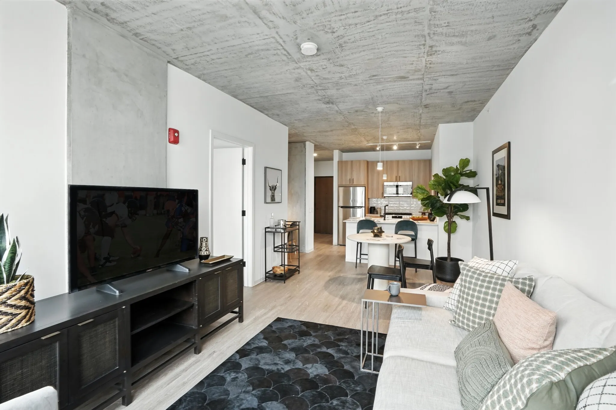 1717 S Michigan Ave, ,  60616, USA 60616-unit#1/1-Chicago-IL