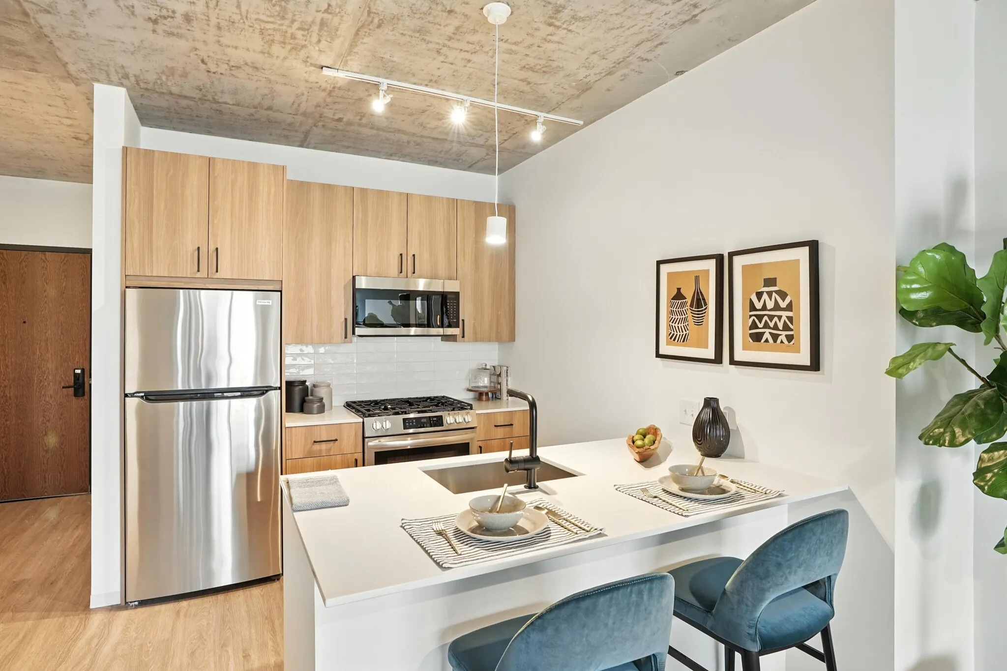 1717 S Michigan Ave, ,  60616, USA 60616-unit#1/1-Chicago-IL