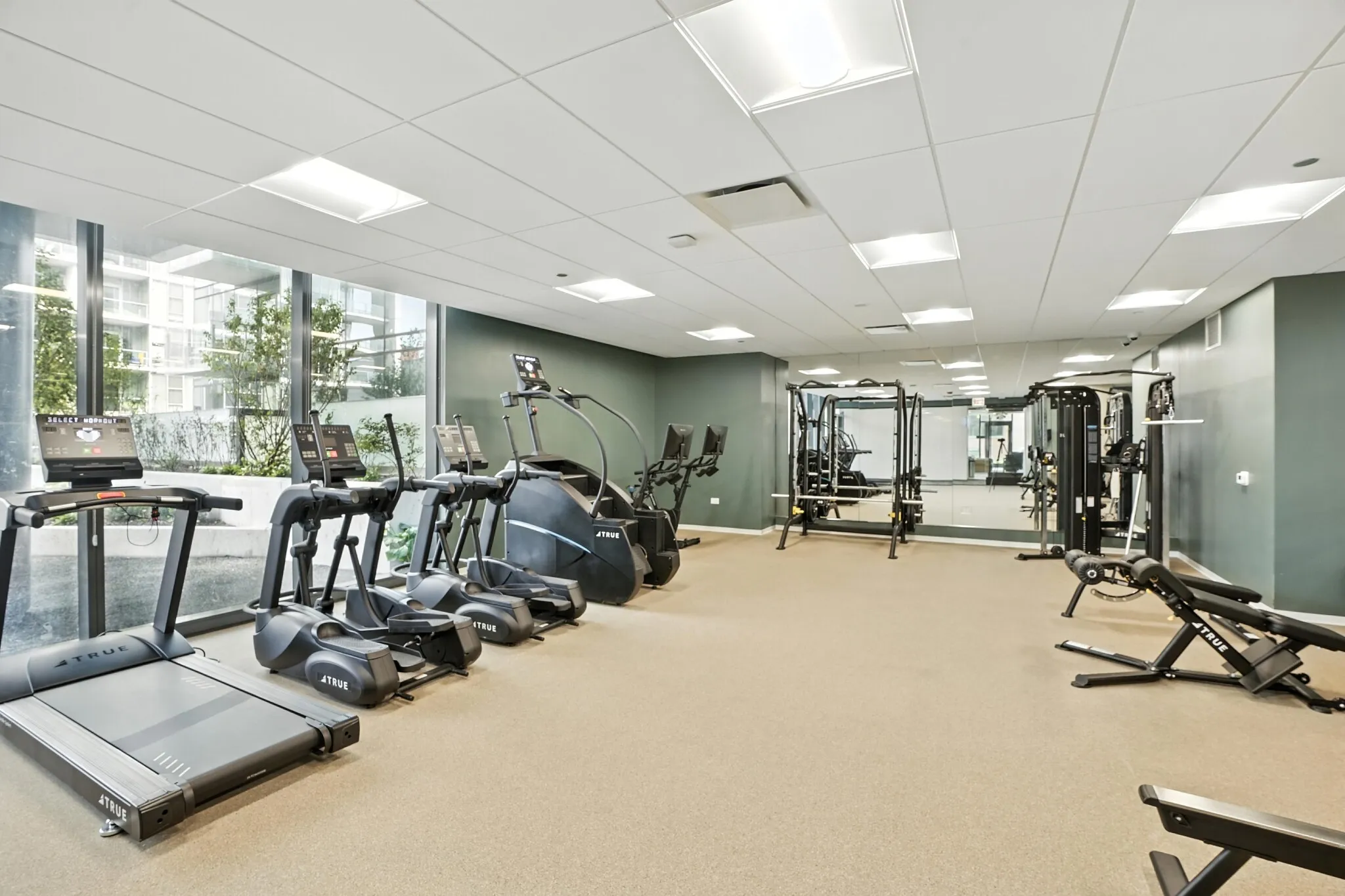 1717 S Michigan Ave, , 60616, USA 60616-unit#4/4 PENTHOUSE-Chicago-IL