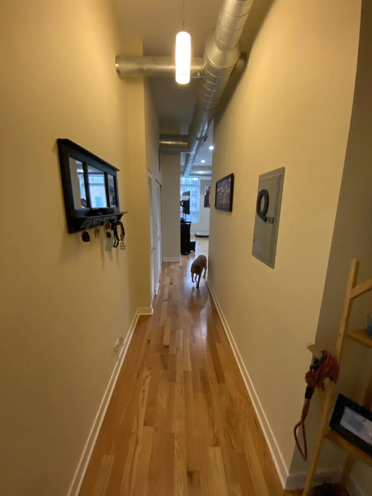 683 N Milwaukee Ave, ,  60642, USA 60642-unit#305-Chicago-IL