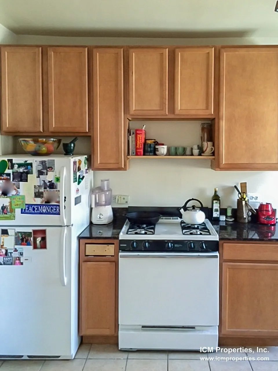 4857 N Paulina St, ,  60640, USA 60640-unit#4859P-3A-Chicago-IL