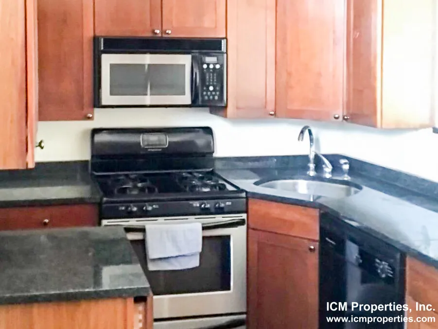 4808 N Paulina St, ,  60640, USA 60640-unit#4808-1E-Chicago-IL