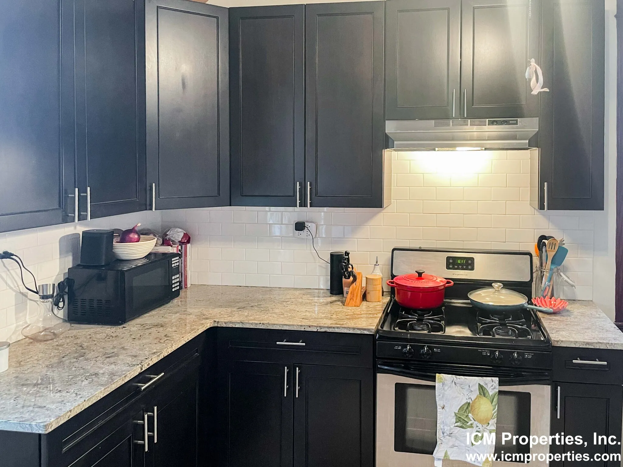 1436 W Addison St, , 60613, USA 60657-unit#1436A-1-Chicago-IL
