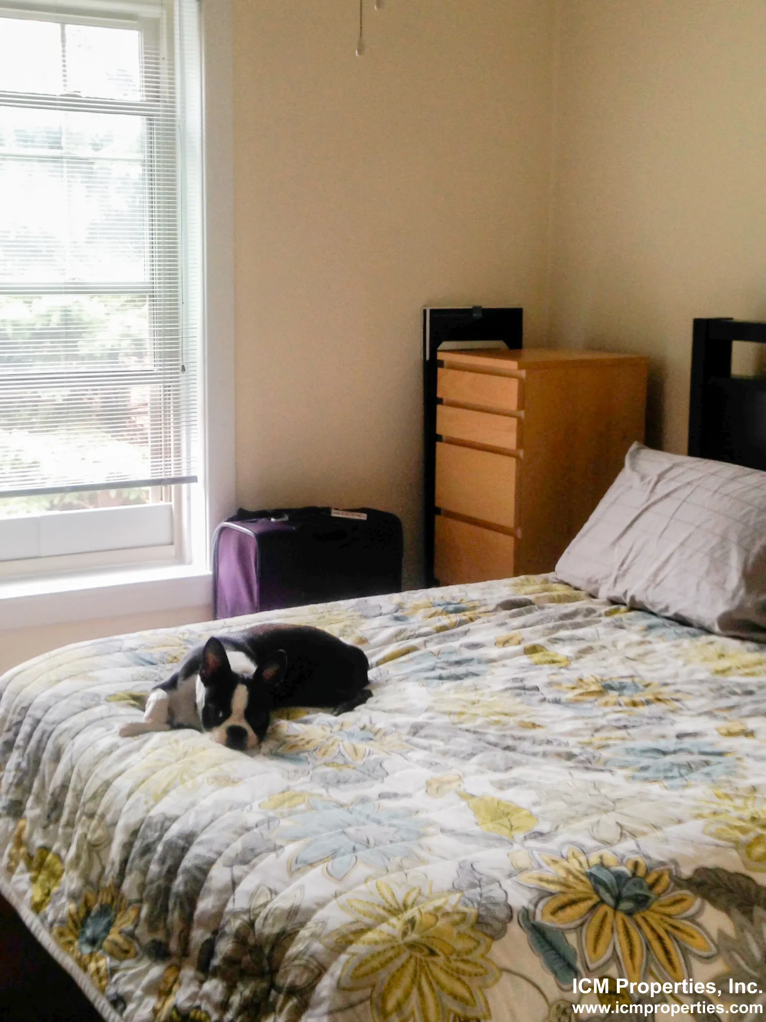 3817 N Lawndale Ave, , 60618, USA 60618-unit#3817-3W-Chicago-IL
