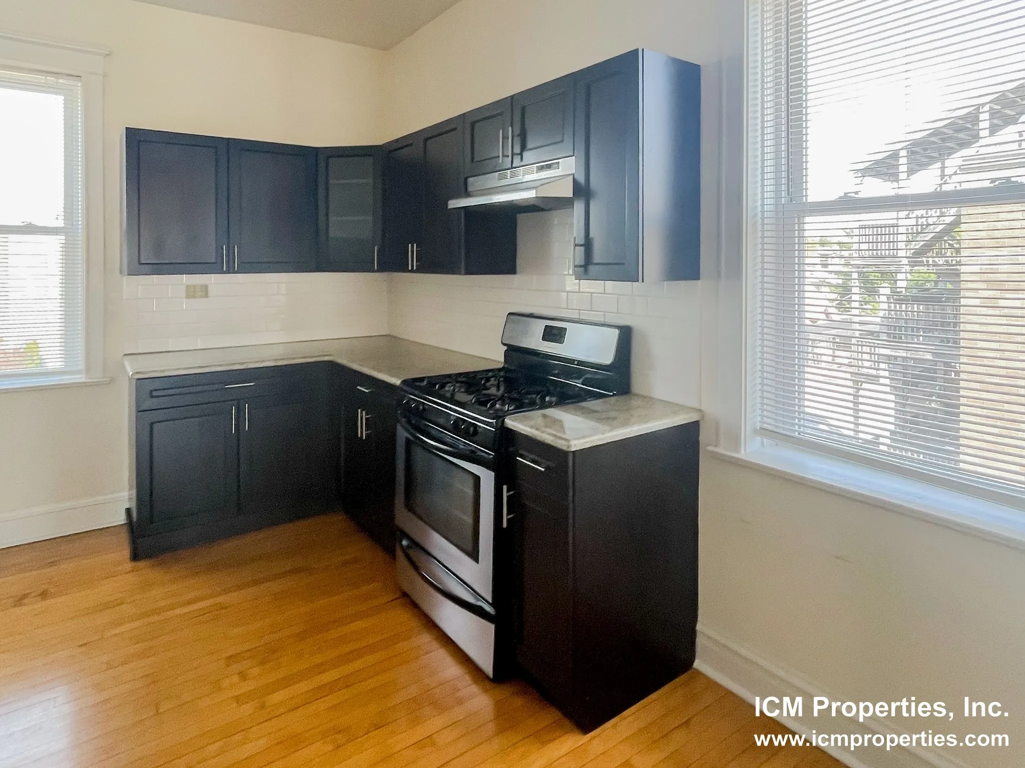 1436 W Addison St, , 60613, USA 60657-unit#1436A-3-Chicago-IL