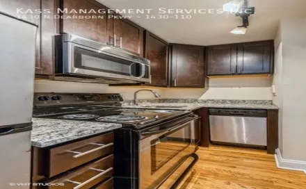 6916_1745932125_4_1430NDearborn110_177001_Kitchen_LowRes.jpg