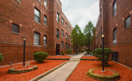 26031-A.jpgthumbnail