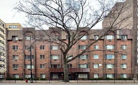 56446-A.jpgthumbnail