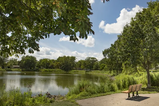 Bench-pond-ducks-Hoffman-Estates_gallery(1)