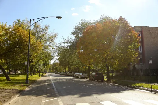 Bike-lane-empty-parked-cars-Kenwood_gallery(3)