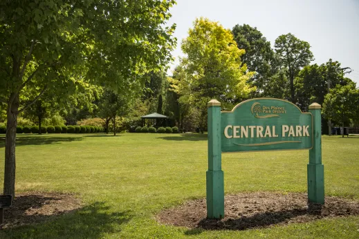 sunlight day in central park with bright green grass and tress in Des Plaines, IL