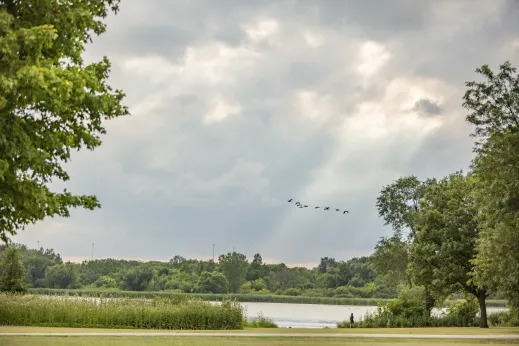 flock of birds over lake with trees and broken clouds in Schaumburg, Illinois