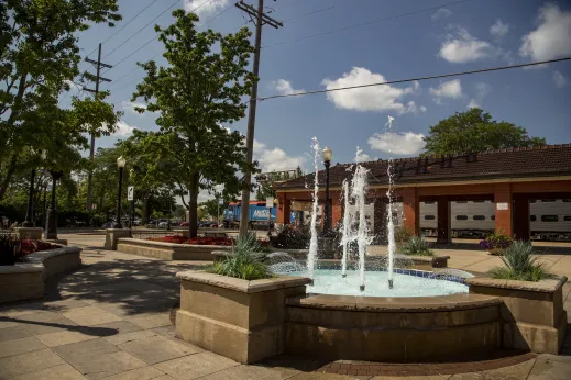 Fountain_metra_station_flowers _Downers_grove-gallery(7)