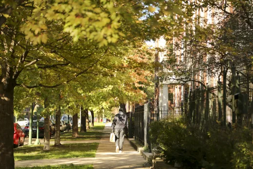 Man-Walking-fall-shopping-Kenwood_gallery(9)