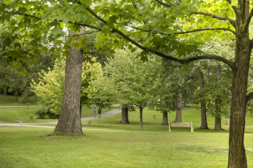 lush park in downtown Highland Park with bright green grass and full trees