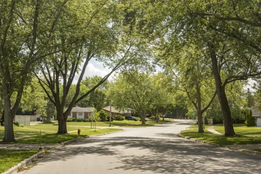 Vacant-street-lawns-hydrant-Hoffman-Estates_gallery(5)