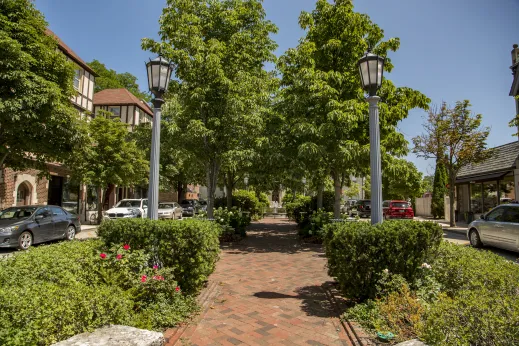 Walkway street lamp cars bushes trees Winnetka