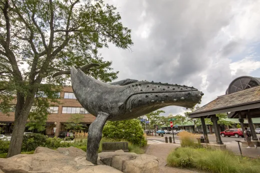 giant whale public sculpture in downtown Highland Park, IL