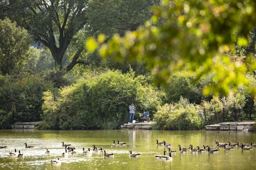 women picnicking next to pond with geese in Back of the Yards Chicago