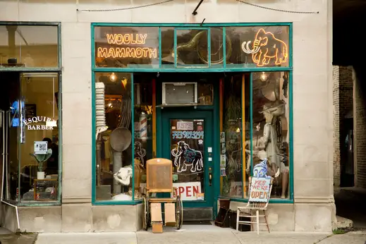 Wooly Mammoth shop front on Foster Ave in Andersonville Chicago