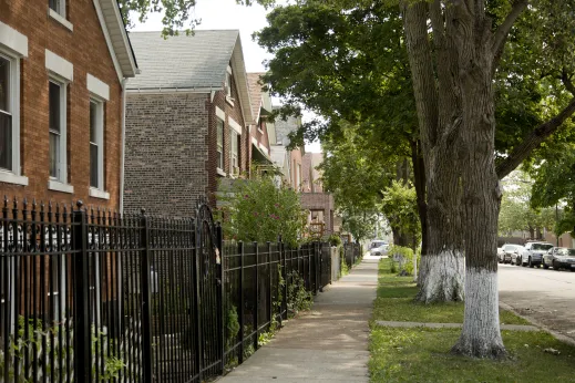 Apartment homes and front yards with trees lining the sidewalks in Little Village