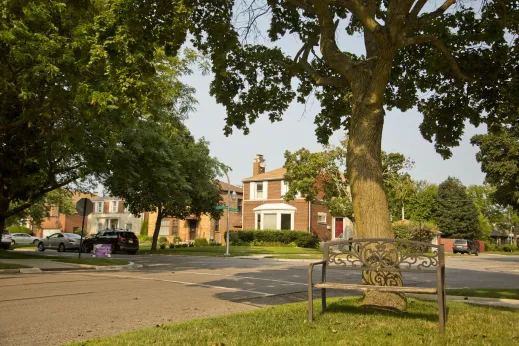Bench on street corner with homes in the background in Peterson Park