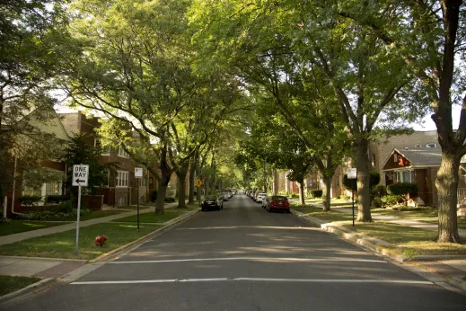 Cars parked on one way street with tree canopy and front yards in Arcadia Terrace