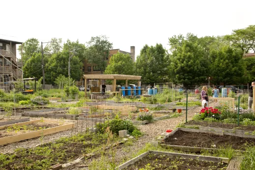 Community Garden in Humboldt Park Chicago